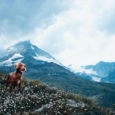 Hapimag Ferienwohnungen Zell Am See Kültér fotó